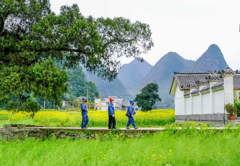 平塘供電局：“網(wǎng)格化”服務(wù)，護航“菜籃子”