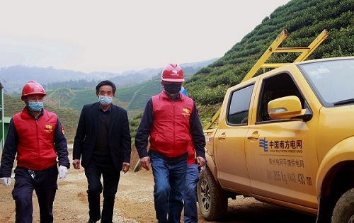 平塘供電局：“加減法”同構(gòu)服務(wù)，護航“貴州春茶第一壺”