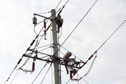 國網霞浦供電公司加裝線路避雷器，保障兩節(jié)期間電網可靠性