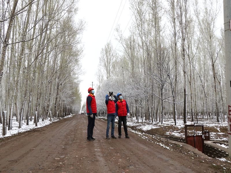 國(guó)網(wǎng)伊犁伊河供電公司四月飛雪，電力員工巡視線路保供電
