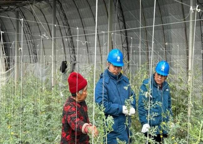 山東惠民供電公司：走訪種植大棚，優(yōu)化農(nóng)業(yè)營商環(huán)境