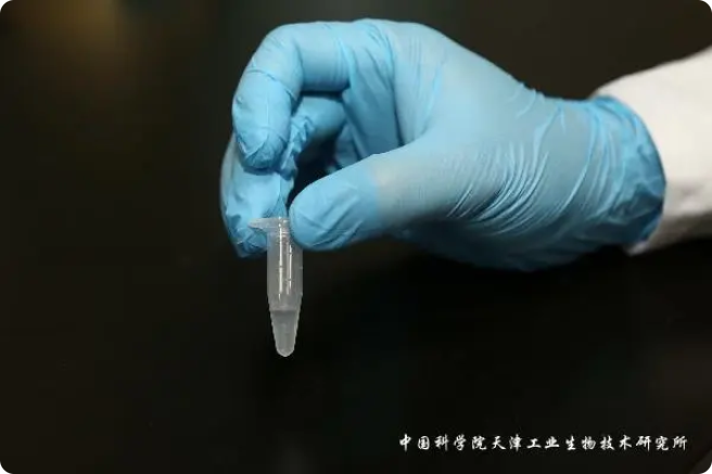 二氧化碳“變身”糖，中國科學(xué)家實(shí)現(xiàn)重大突破!