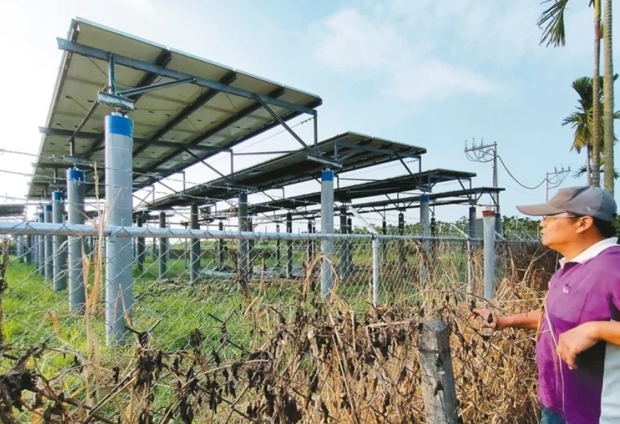 臺(tái)媒：農(nóng)田“種電”讓農(nóng)民苦不堪言，島內(nèi)面臨農(nóng)電兩失困境