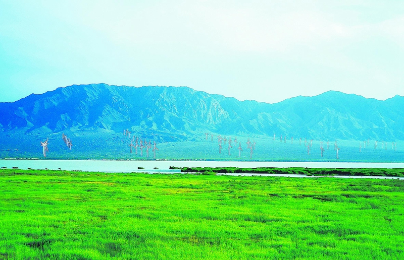 新疆粵水電為建設(shè)美麗新疆提供堅實(shí)能源保障