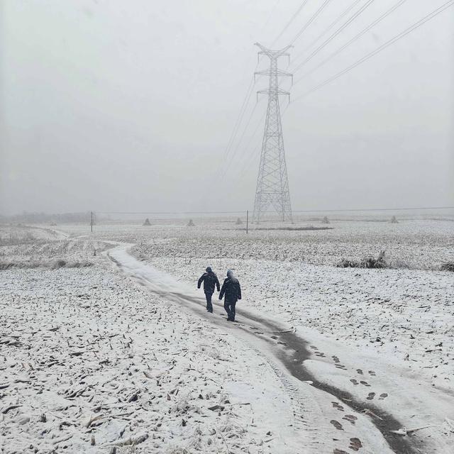 國(guó)網(wǎng)遼寧電力全力應(yīng)對(duì)遼寧首輪雨雪天氣